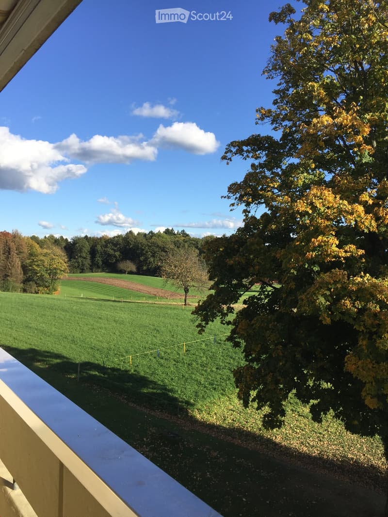 Balcony overlooking a green field with trees and a clear blue sky.