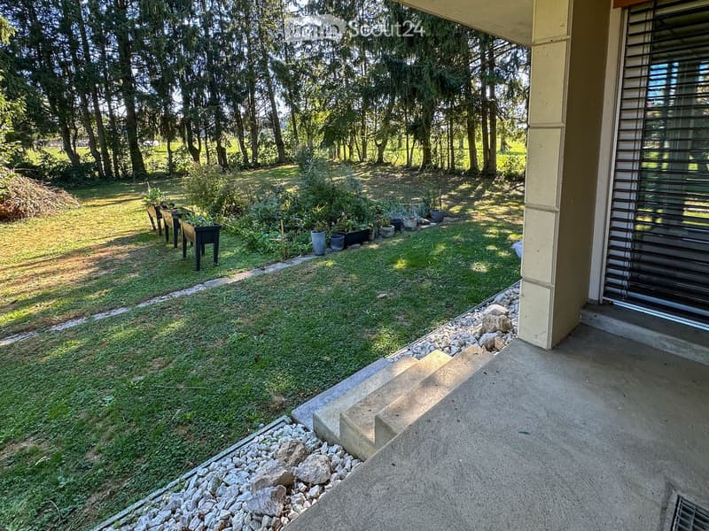 A well-maintained garden area with a concrete patio, small steps leading down to a grassy lawn, potted plants, and a wooden bench. The area is bordered by rocks and is surrounded by trees.