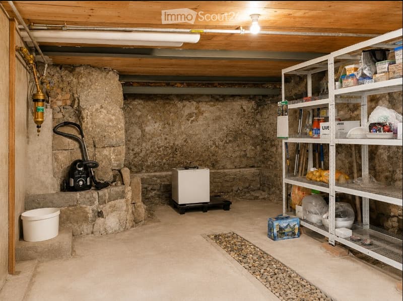 A basement storage area with exposed stone walls, wooden ceiling, and a metal shelving unit holding various items. A small refrigerator, vacuum cleaner, and a bucket are visible.