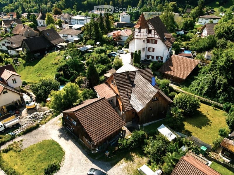 Aerial view of a rural village with multiple houses, varied roof styles, and surrounding greenery.