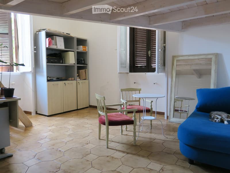 A cozy living room with a blue sofa, wooden chairs with red cushions, a small round table, a cabinet, a mirror, and a cat resting on the sofa.