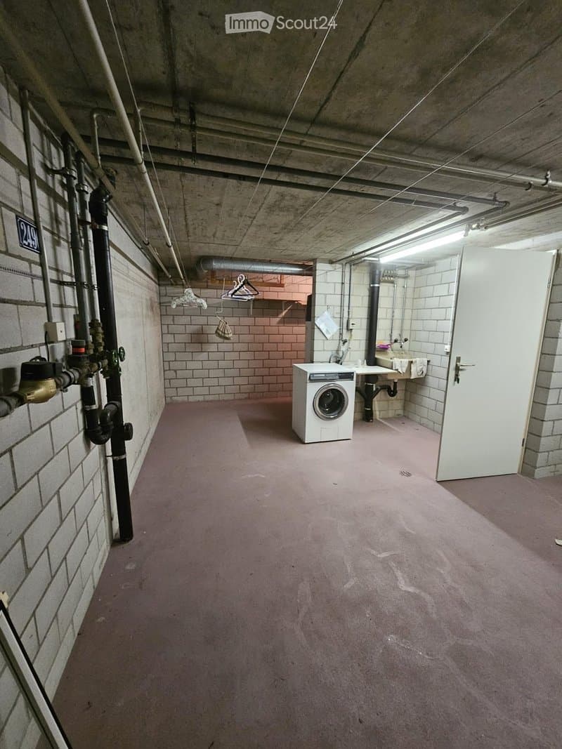 Utility room with a washing machine, sink, exposed pipes, and concrete ceiling.