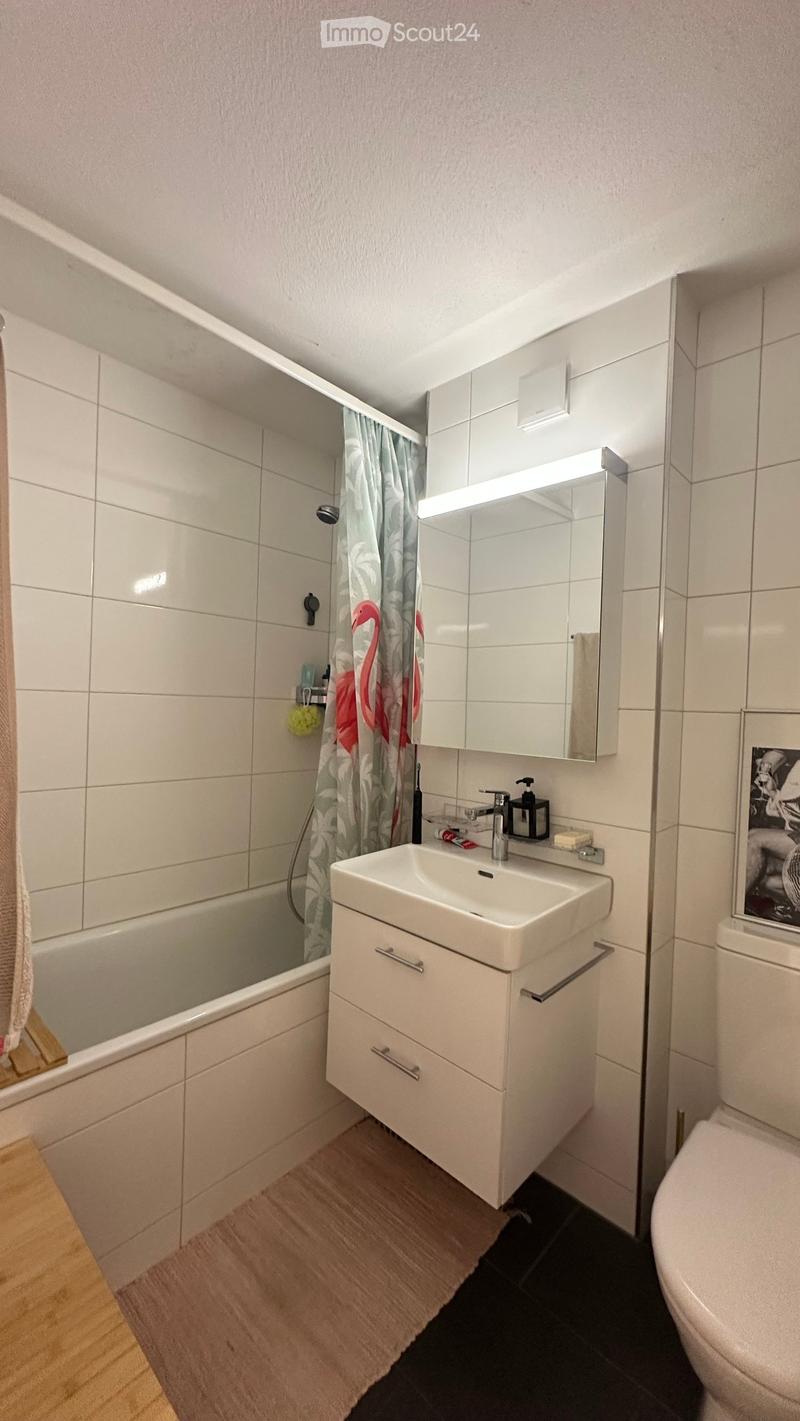Modern bathroom with white tiles, a bathtub, a sink with a cabinet, a mirror, and a toilet. The floor has wooden planks and a black rug.