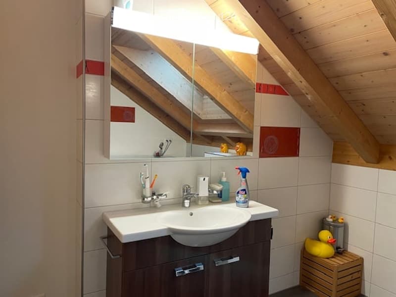 Apartment on the roof in Schwendibach (7)