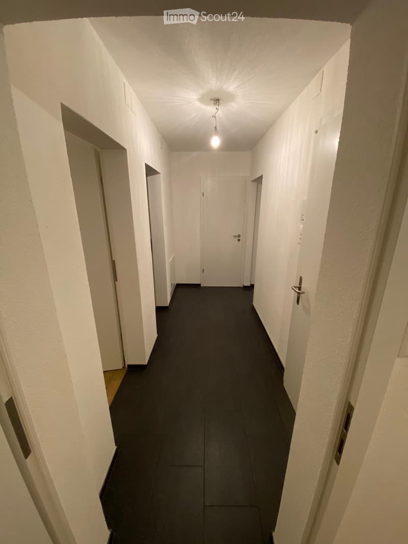 A long, narrow hallway with white walls, dark carpeted floor, and several doors on both sides. A single ceiling light illuminates the space.