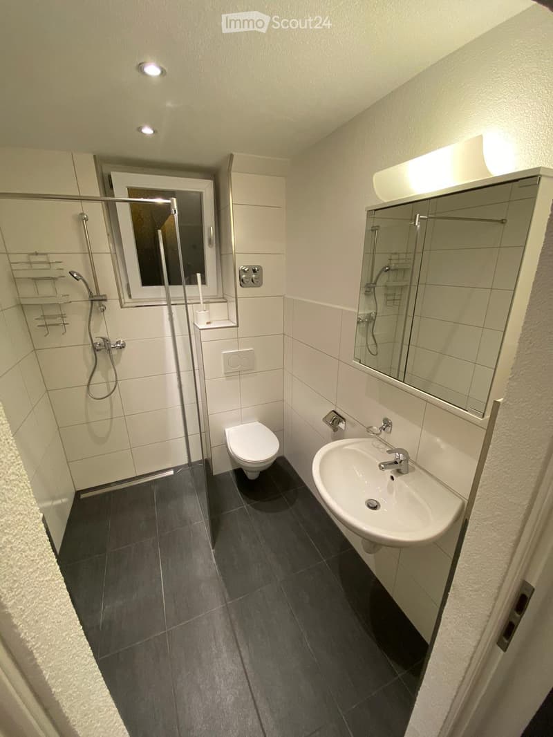 Modern bathroom with dark tiled floor, white walls, toilet, sink, mirror, and glass-enclosed shower with built-in shelf.