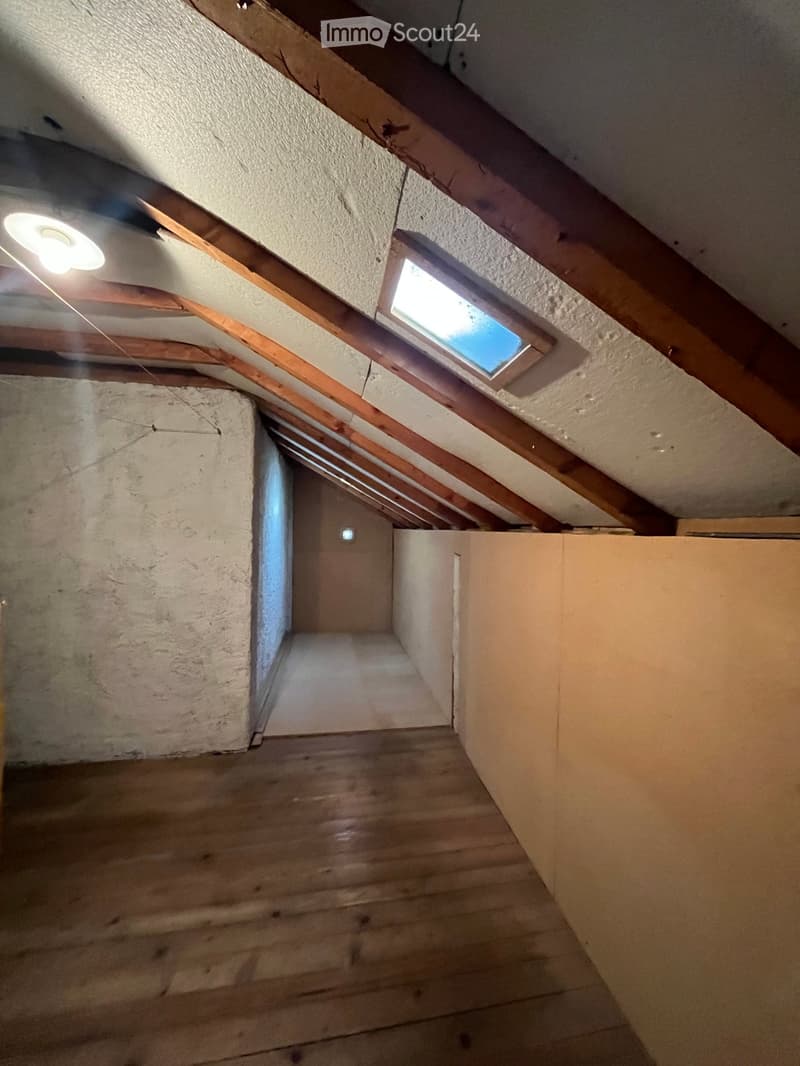 attic, wooden beams, skylight, wooden floor, bare room