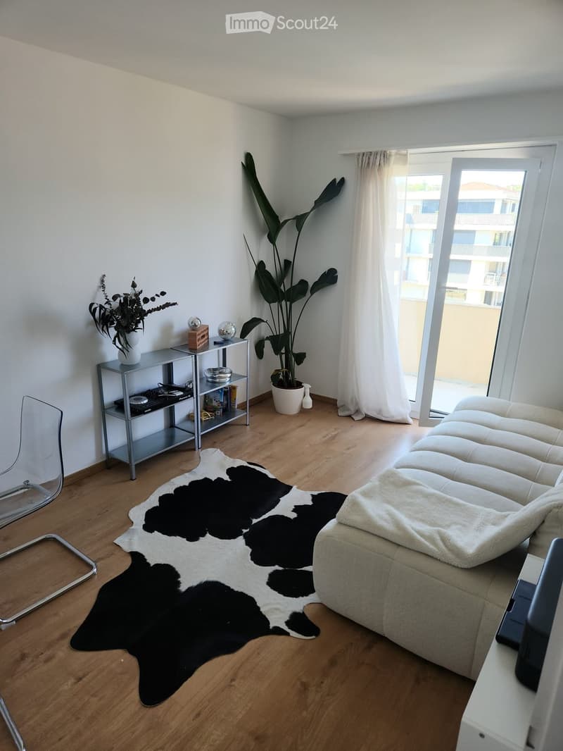Modern living room with a white sofa, a black and white cowhide rug, a small metal table with books and a plant, and large windows with white curtains.