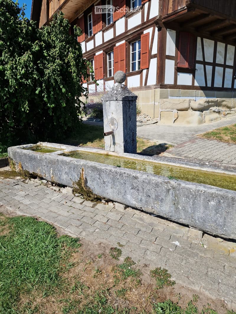 A stone water trough with a central fountain and a traditional half-timbered house in the background.