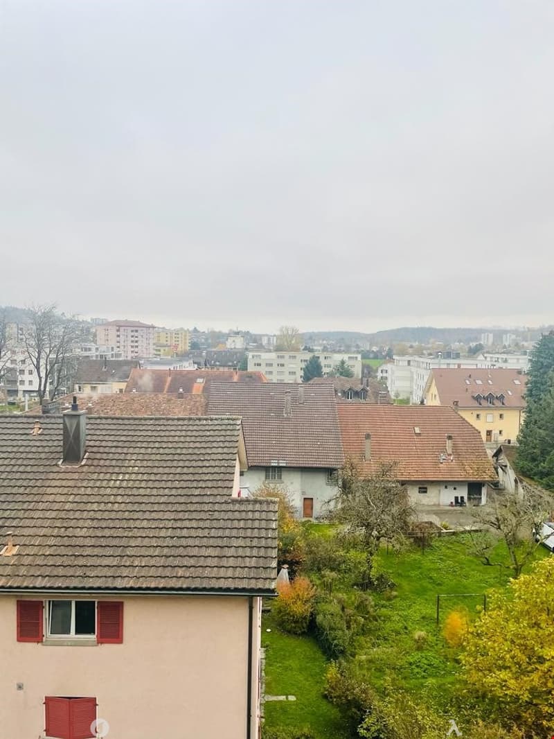 MAGNIFIQUE 3.5 pcs, balcon, vue sur les Alpes, rénové en 2022, état neuf (7)