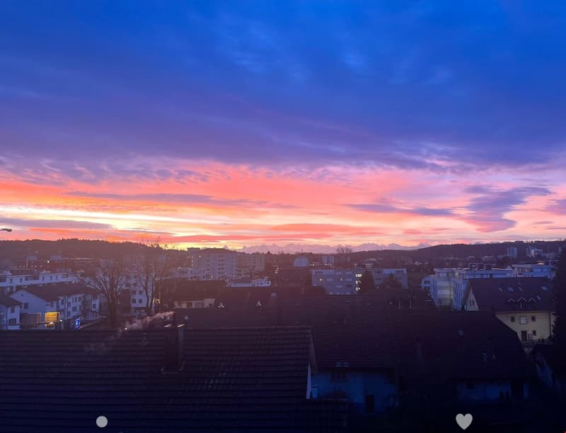MAGNIFIQUE 3.5 pcs, balcon, vue sur les Alpes, rénové en 2022, état neuf (1)