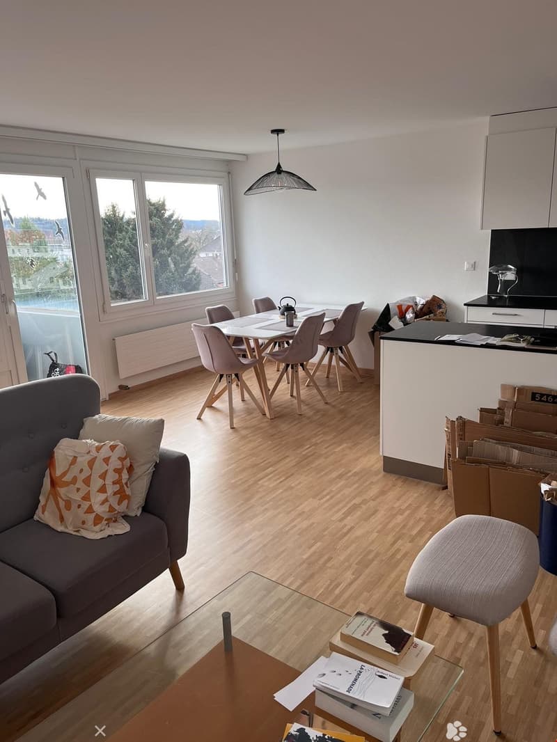 MAGNIFIQUE 3.5 pcs, balcon, vue sur les Alpes, rénové en 2022, état neuf (2)