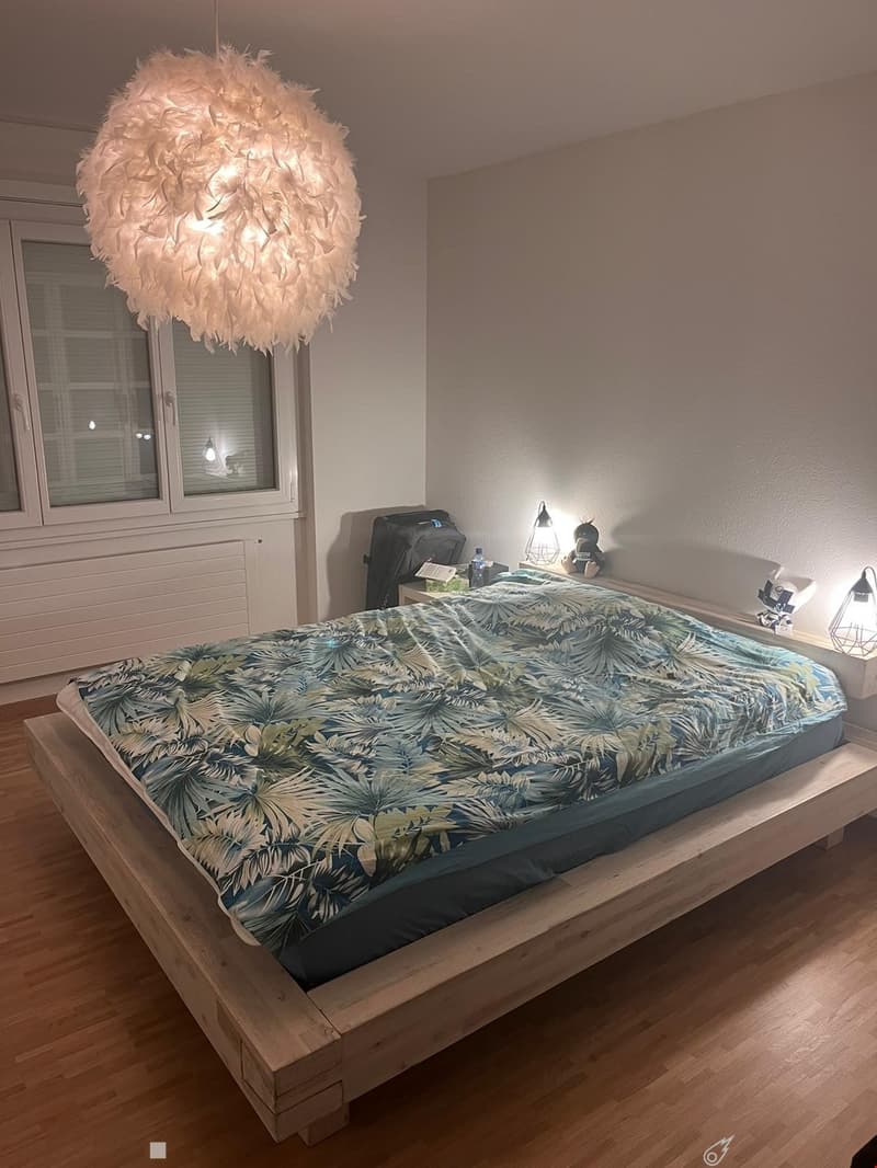 MAGNIFIQUE 3.5 pcs, balcon, vue sur les Alpes, rénové en 2022, état neuf (4)