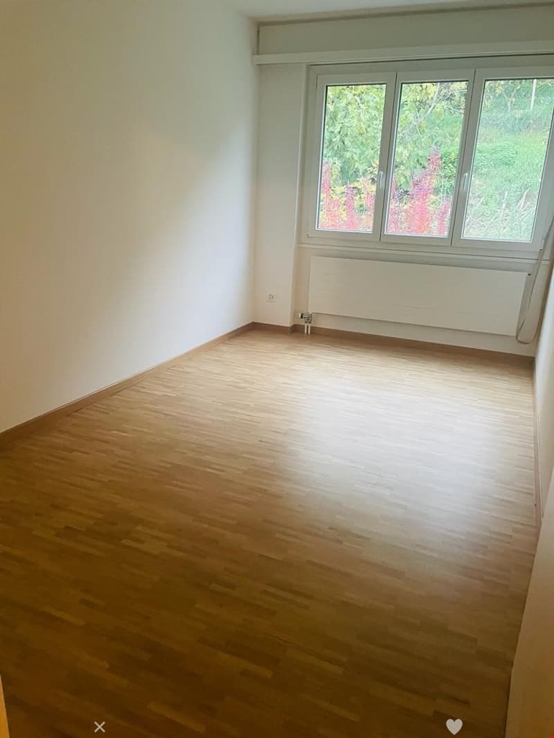 MAGNIFIQUE 3.5 pcs, balcon, vue sur les Alpes, rénové en 2022, état neuf (6)