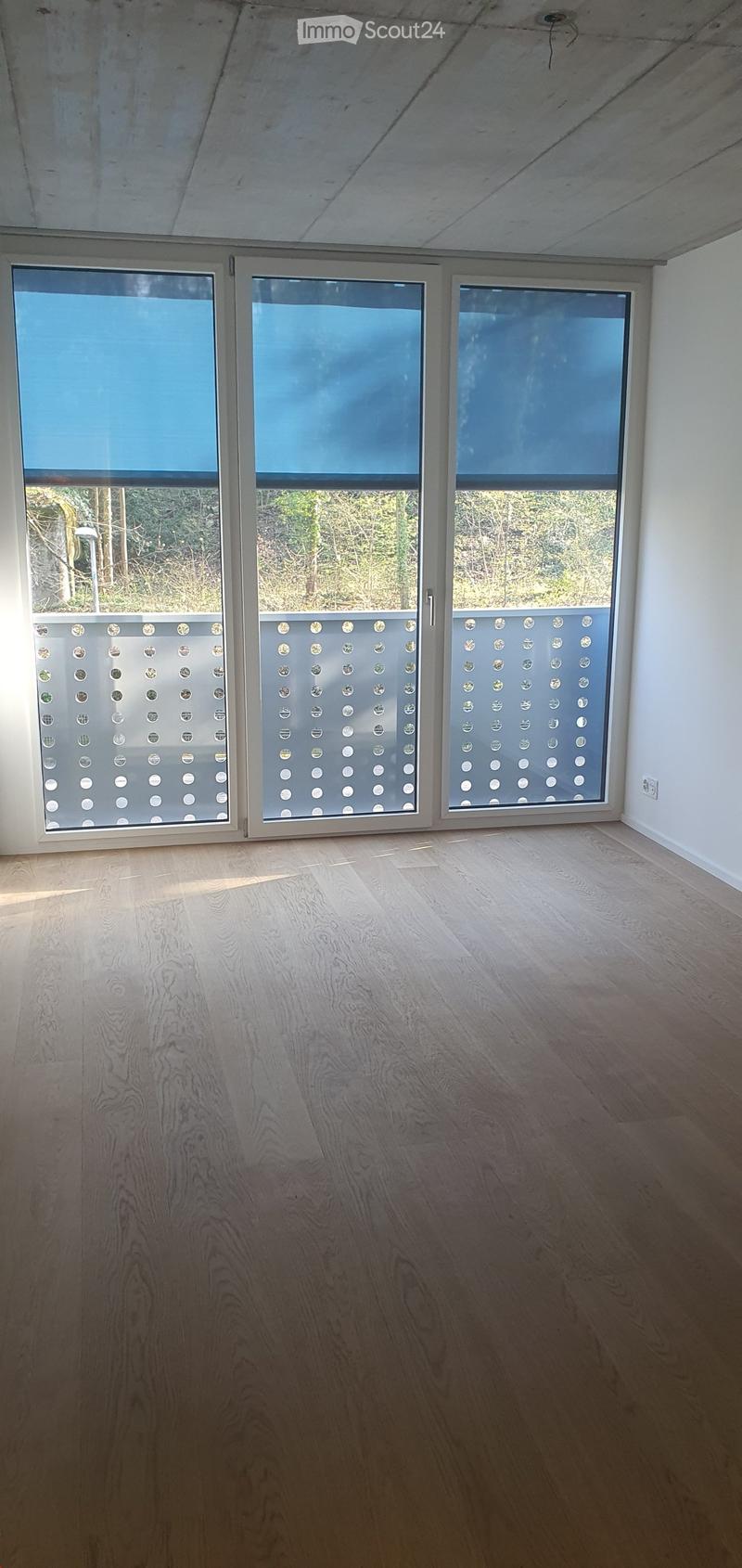 Empty room with wooden flooring and large windows with frosted glass panels, leading to an outdoor area.