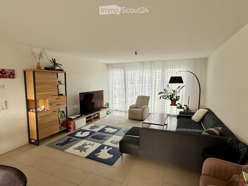 Modern living room with a grey sectional sofa, armchair, coffee table, TV, storage cabinet, floor lamp, and decorative plants.