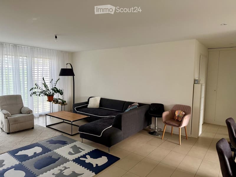 Modern living room with a grey sectional sofa, wooden coffee table, armchair, potted plant, and floor lamp. The room features large windows with white curtains and a colorful rug on the floor.