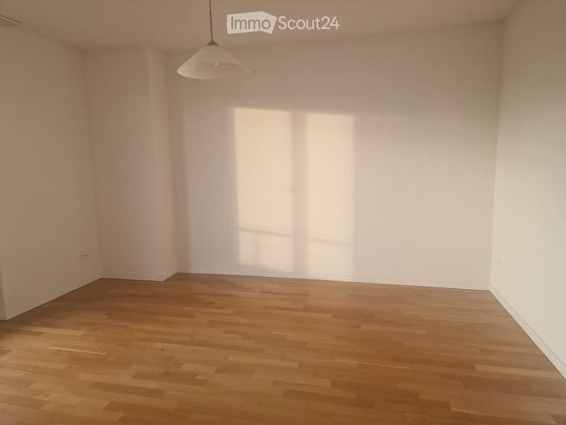 Empty room, white walls, wooden floor, and pendant light.