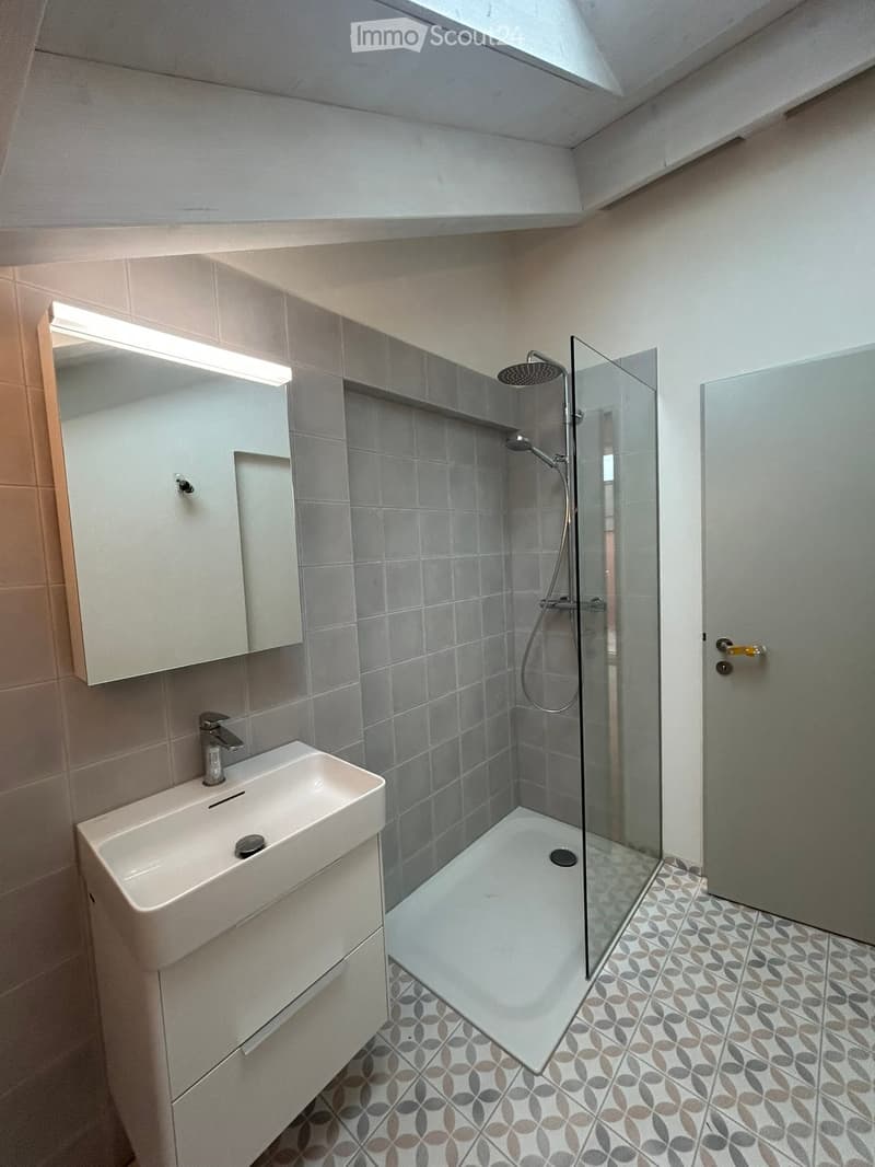 Modern bathroom with a white sink, mirror, glass-enclosed shower, and grey tiled walls.