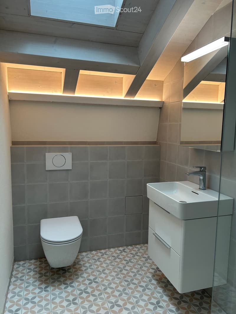 Modern bathroom with grey tiles, white toilet, sink, and cabinet. Features skylight and built-in lighting.