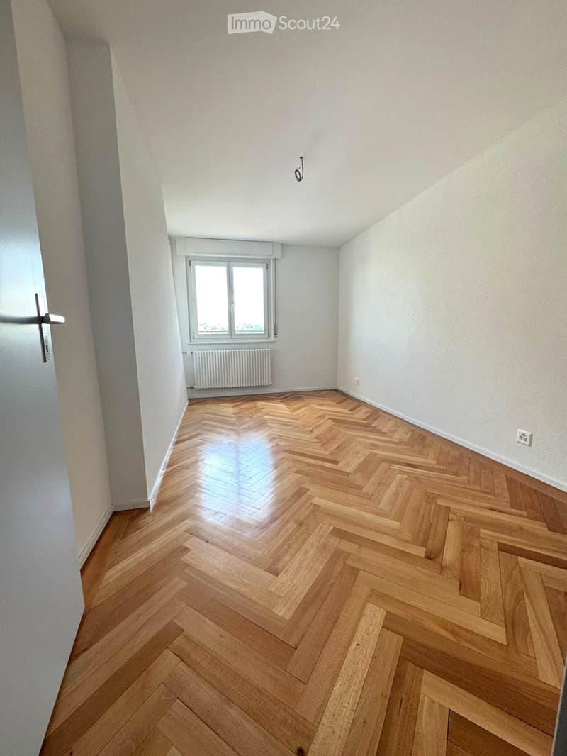 Empty room with herringbone wooden flooring, white walls, a window with white frame, and a radiator below the window.