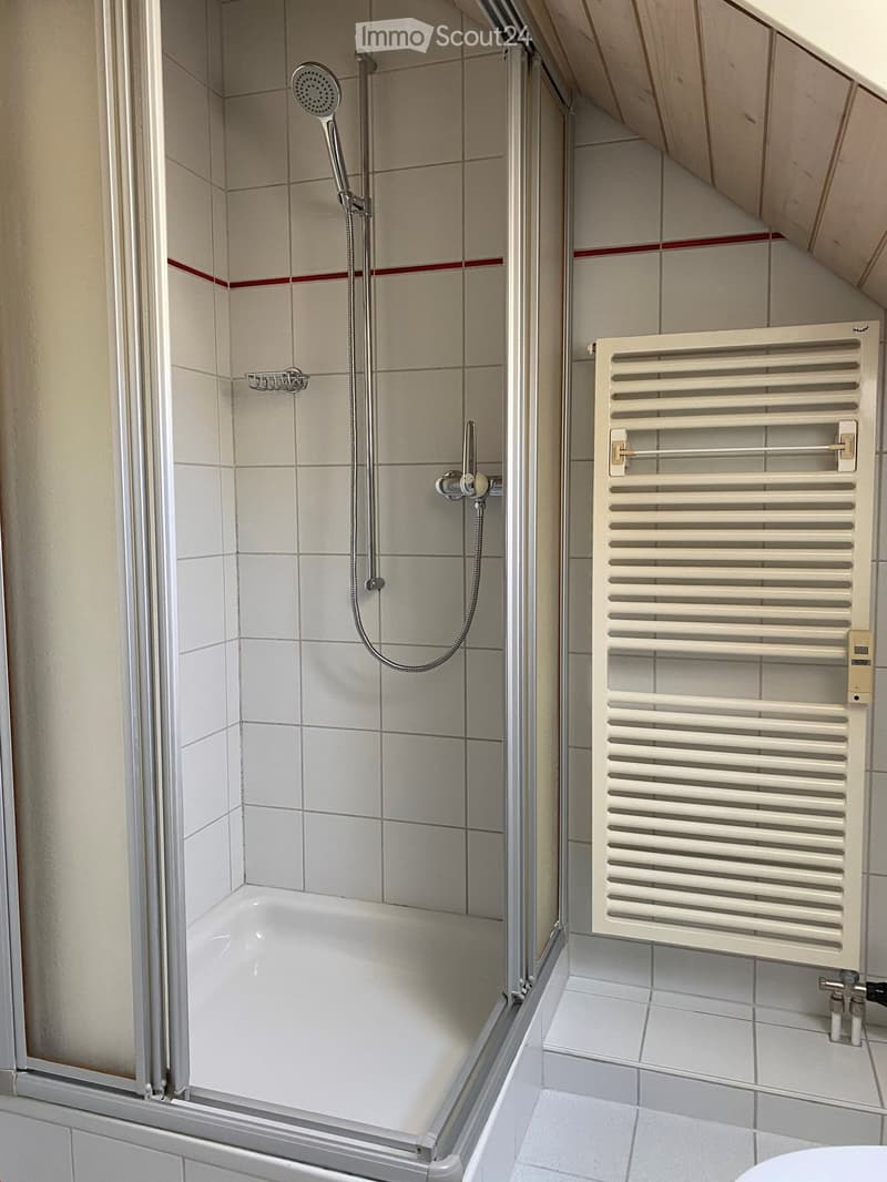 Modern bathroom with a bathtub, glass shower enclosure, tiled walls, and a white radiator.