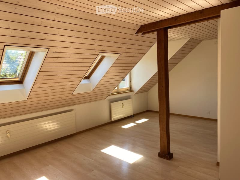 Bright, empty attic room with wooden ceiling, wooden floor, and skylights letting in natural light. Radiators are visible along the walls.