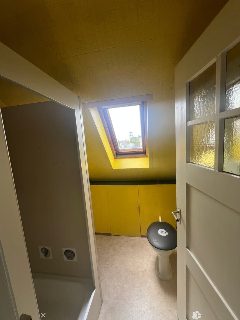 Small bathroom with a toilet, yellow cabinet, and a skylight window above.