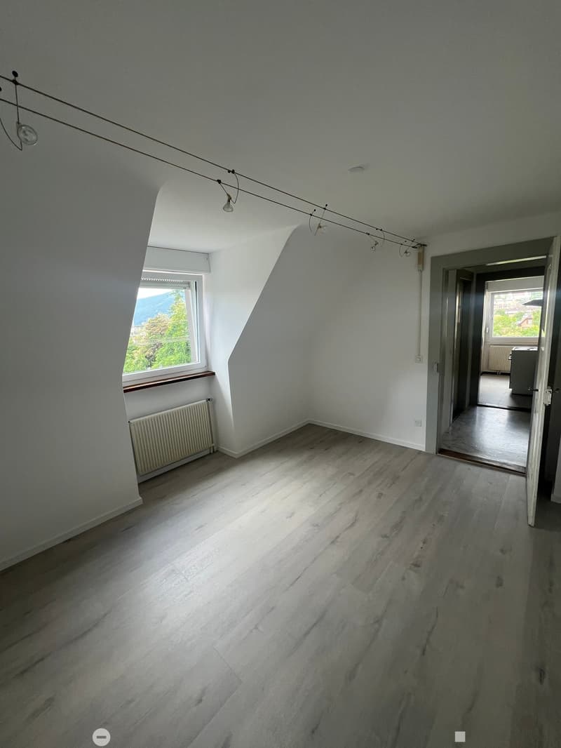 Empty attic room with wooden flooring, white walls, and a skylight window. Natural light streams in, and there is a radiator under the window. The room has exposed wooden beams on the ceiling and a visible doorway leading to another space.