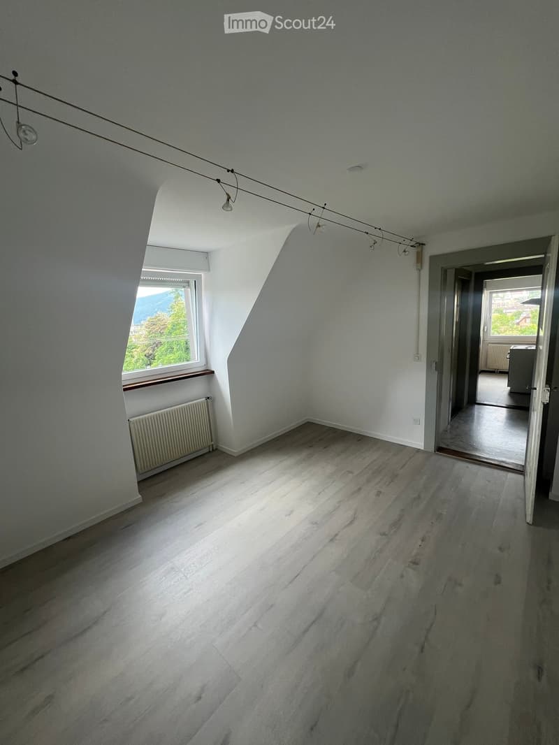 Empty attic room with wooden flooring, white walls, and a skylight window. Natural light streams in, and there is a radiator under the window. The room has exposed wooden beams on the ceiling and a visible doorway leading to another space.