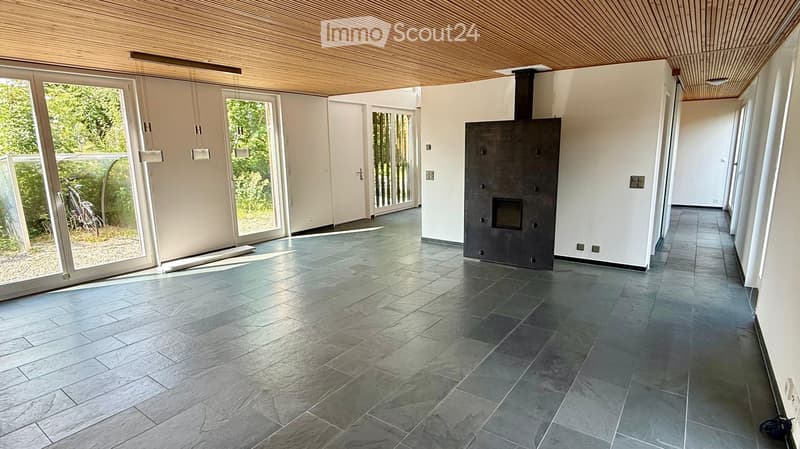 Modern hallway with dark stone tiles, white walls, large glass doors leading to a green outdoor area, and a built-in fireplace with a chimney.