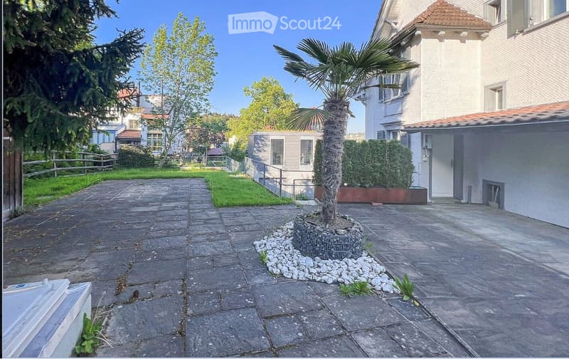 A paved outdoor area with a palm tree in a circular planter, surrounded by white rocks, with a small garden and a building in the background.