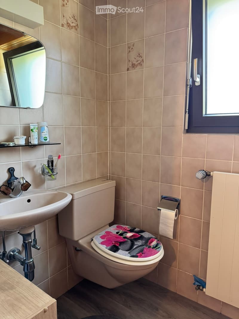 Bathroom with beige tiled walls, a sink with a chrome faucet, a toilet with a floral seat cover, a mirror above the sink, and a shelf holding toiletries.