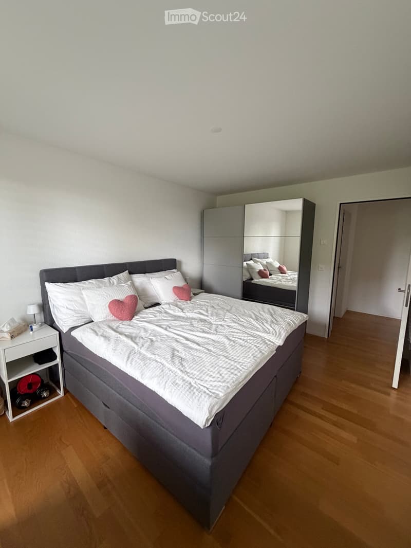 Modern bedroom with a large bed, white bedding, pink heart-shaped pillows, a nightstand with a lamp, a large mirror, and a wardrobe.