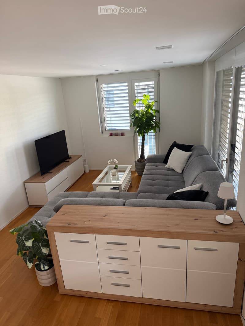 Modern living room with grey sofa, coffee table, TV stand, wooden table, and plants.