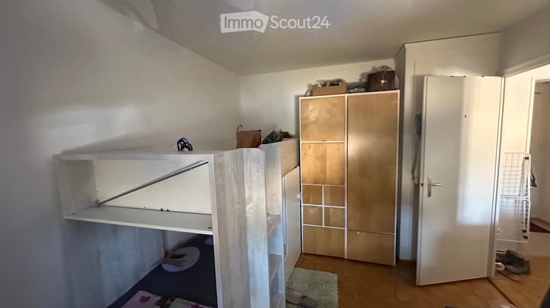 A small, furnished room with a cat litter box, a cat tree, a cabinet, a shelf, and a rug on the floor.