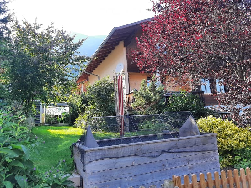 Garden with a raised wooden planter box, green lawn, various trees and shrubs, and a house with a satellite dish in the background.