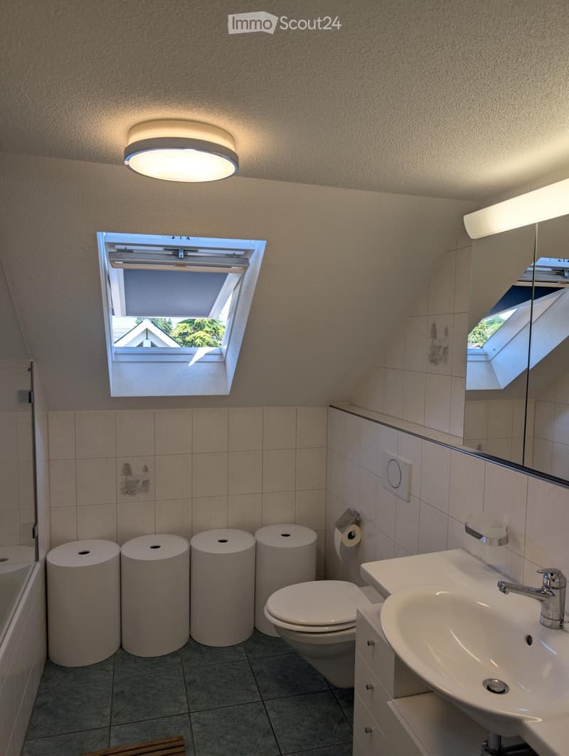 Modern bathroom with a white sink, toilet, mirror, and a skylight window above. Features a round light fixture on the ceiling and four cylindrical trash bins.