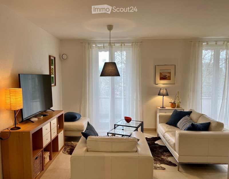 Balcony, sofa, table, TV, cabinet, table lamp, floor lamp, side table, painting, window, rug