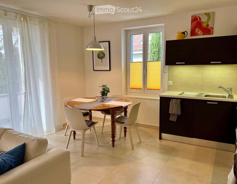 Dining area with table, chairs, a couch, a plant on the table, a window, a picture frame, a lamp, cabinets, and a sink.