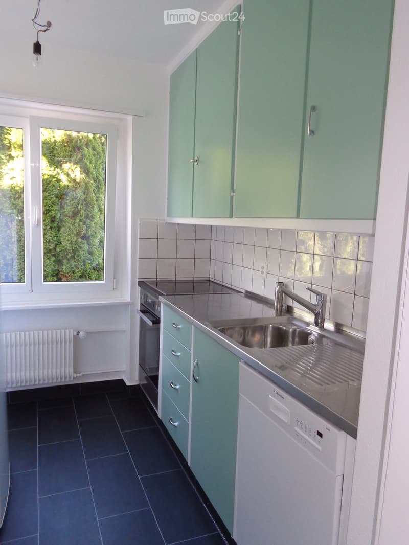 Modern kitchen with green cabinets, stainless steel sink, dishwasher, and oven. Dark tiled floor and white tiled backsplash.