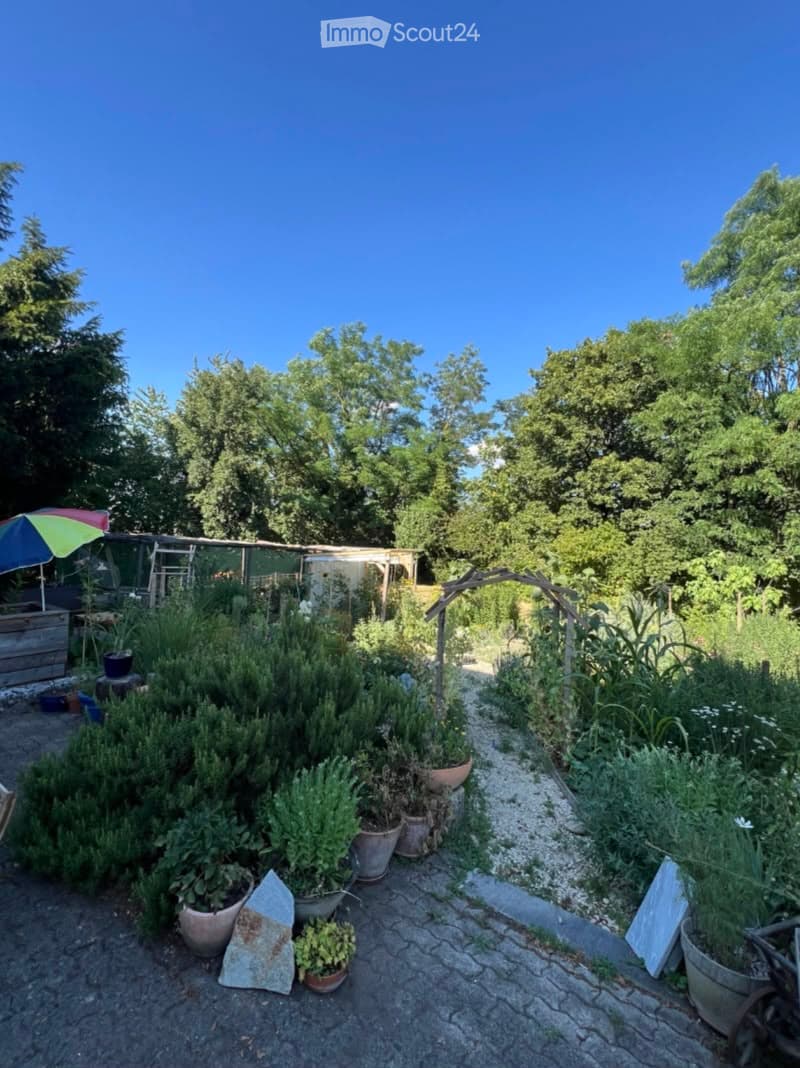 Well-maintained garden with various potted plants, herbs, and a gravel pathway. Features include a wooden archway, a small umbrella, and a wooden shed in the background.