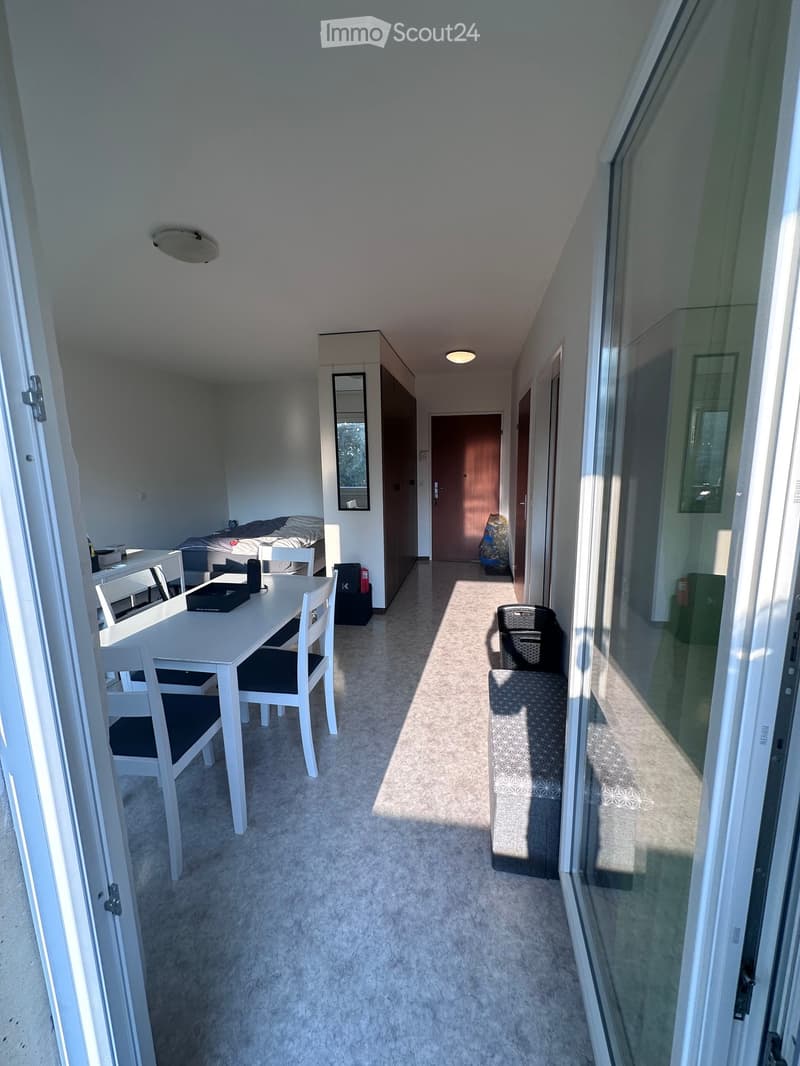 Bright hallway with carpeted floor, leading to a bedroom and a dining area with a white table and chairs. Features a large glass door on the right and a wardrobe with a mirror on the left.