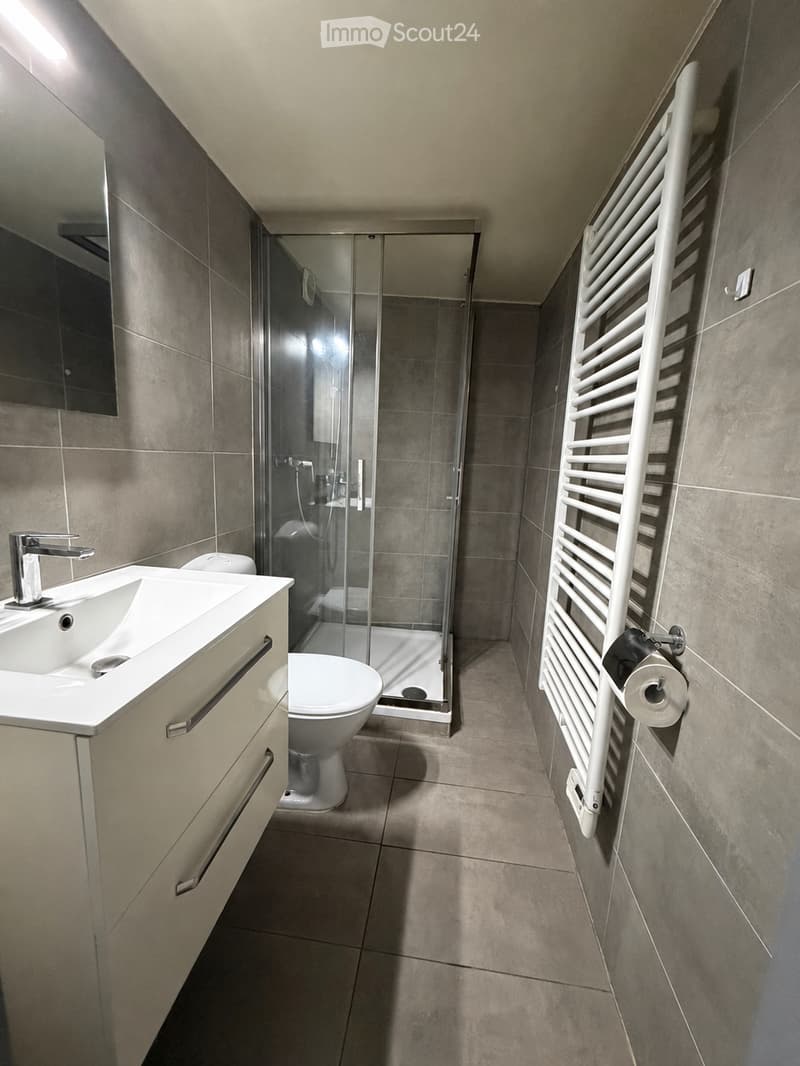 Modern bathroom with a white sink, faucet, cabinet, toilet, glass-enclosed shower, mirror, radiator, and toilet paper holder.