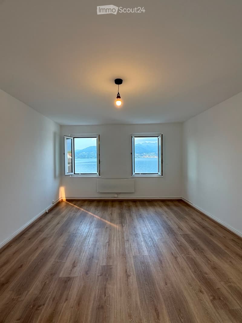 Empty room with wooden flooring, white walls, two windows with open shutters, a radiator, and a single hanging light fixture.