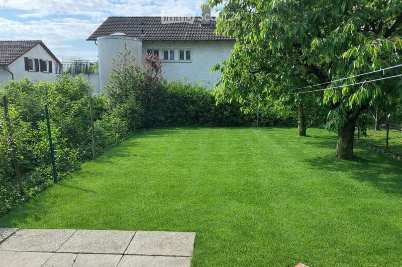 Garden / Outdoor Area. A well-maintained garden with a large green lawn, a tree, and a house in the background.
