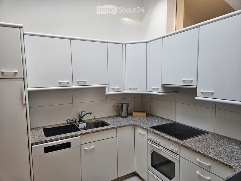 {"type": "Kitchen", "objects": ["sink", "faucet", "oven", "dishwasher", "electric stove", "cupboard", "faucet", "faucet handle", "oven handle", "oven door", "oven control panel", "oven knob", "oven knob", "oven knob", "oven knob", "oven knob", "oven knob"