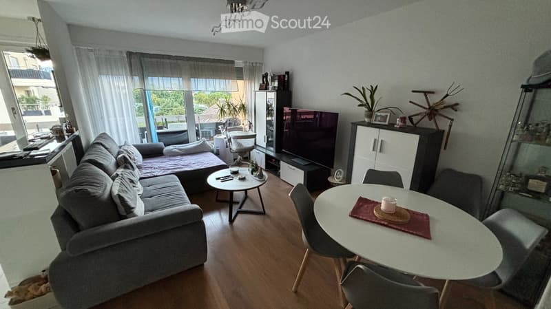 Modern living room with a grey sofa, coffee table, dining table, chairs, TV, and decorative items.
