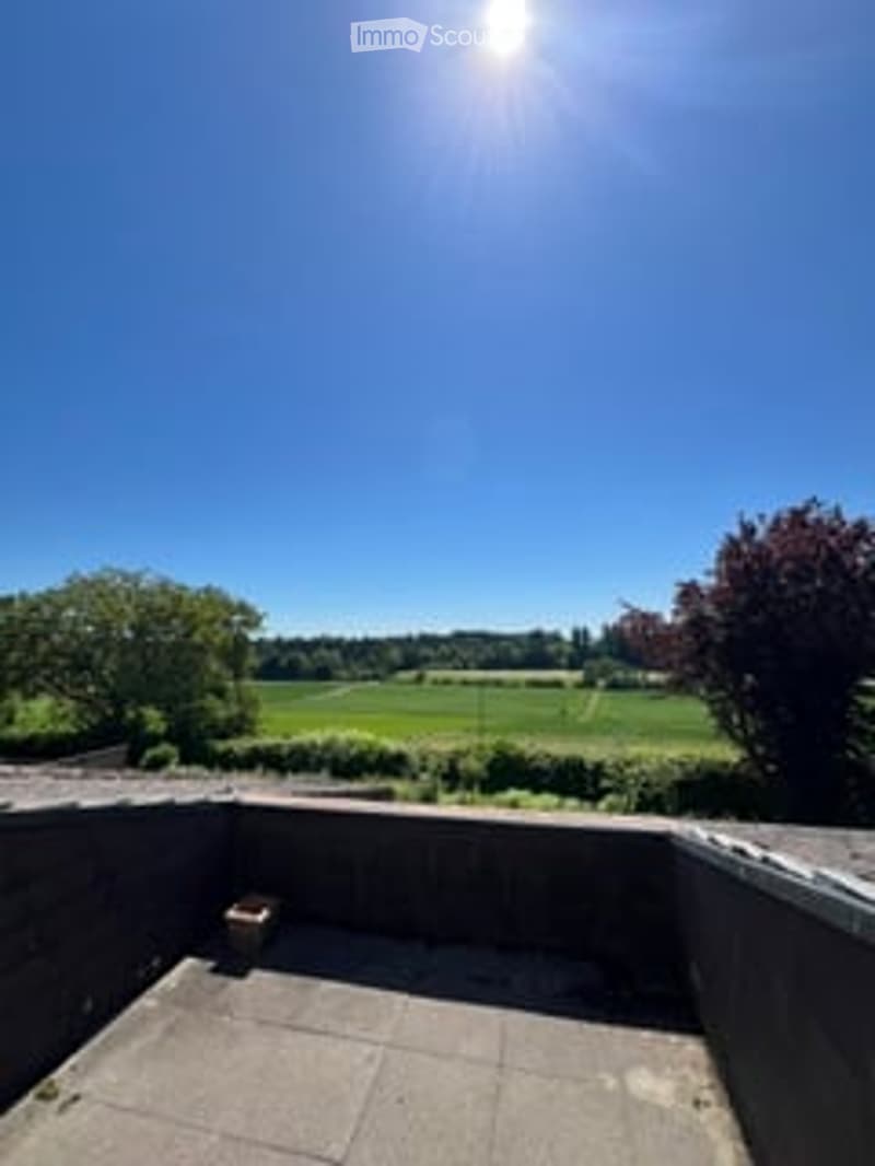 Balcony with concrete floor, small planter, and open view of a green field and trees under a clear blue sky.