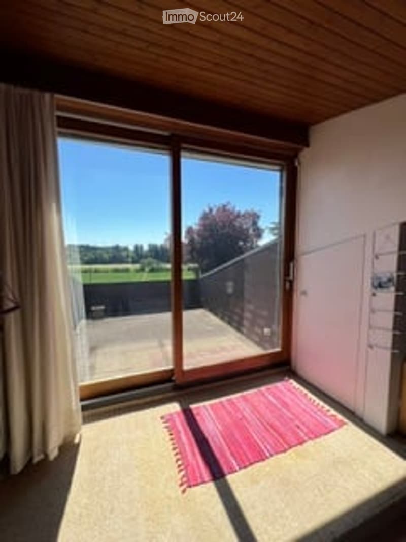 Bright, unfurnished room with large sliding glass doors leading to an outdoor area, wooden ceiling, and a small red rug on the floor.